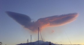 nuvola_uccello